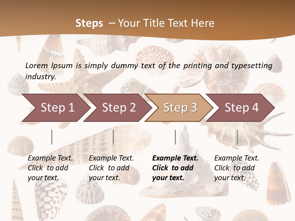An Image Of Seashells On White Background PowerPoint Template