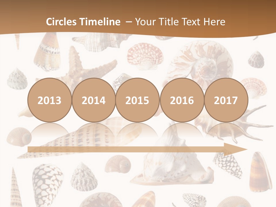 An Image Of Seashells On White Background PowerPoint Template