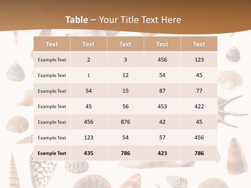 An Image Of Seashells On White Background PowerPoint Template