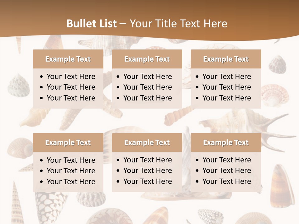 An Image Of Seashells On White Background PowerPoint Template