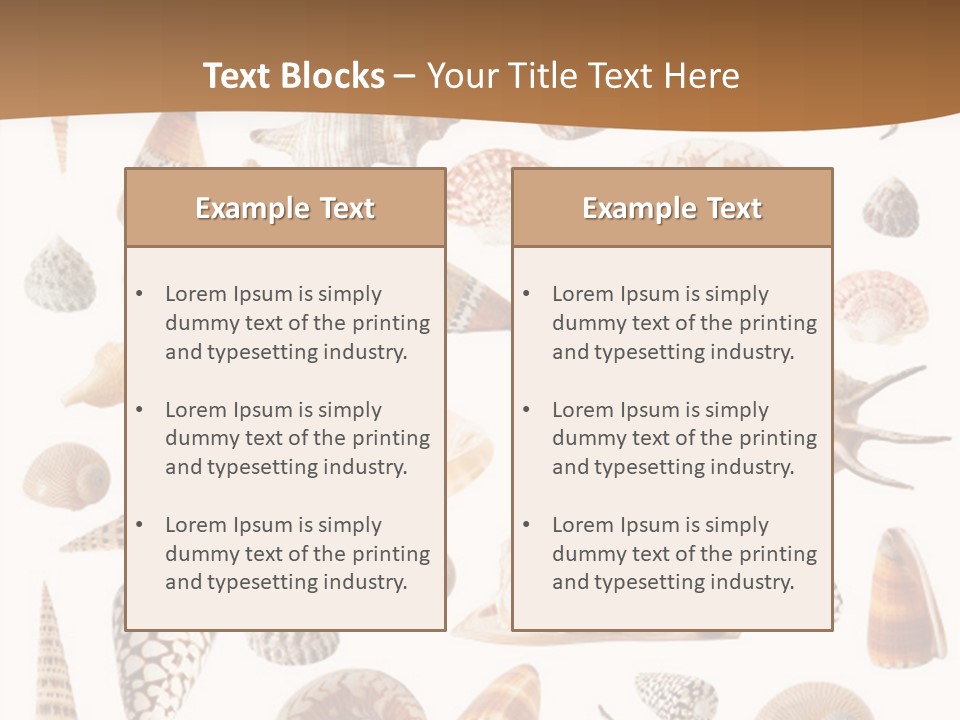 An Image Of Seashells On White Background PowerPoint Template