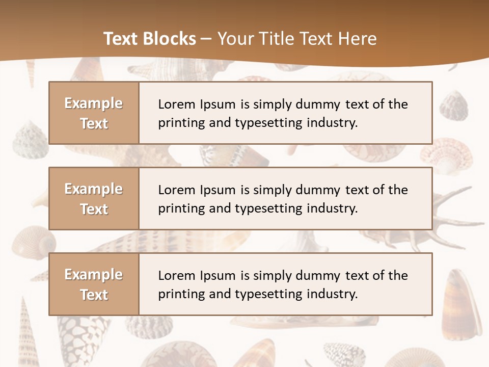 An Image Of Seashells On White Background PowerPoint Template