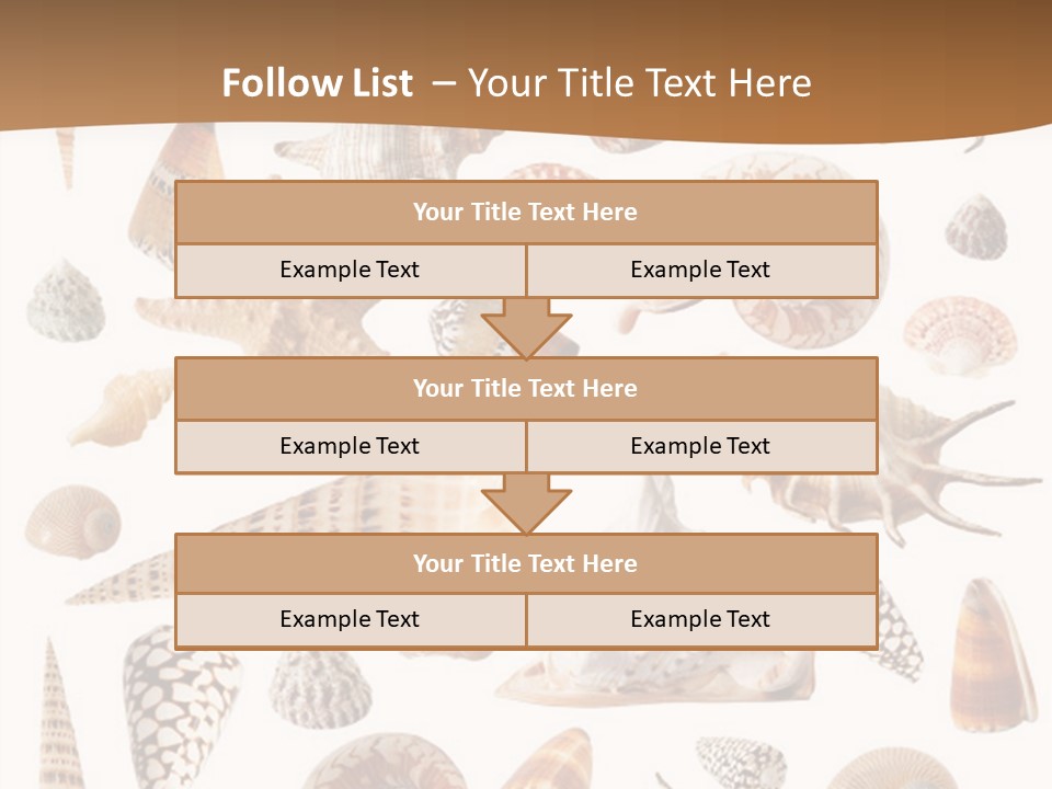 An Image Of Seashells On White Background PowerPoint Template