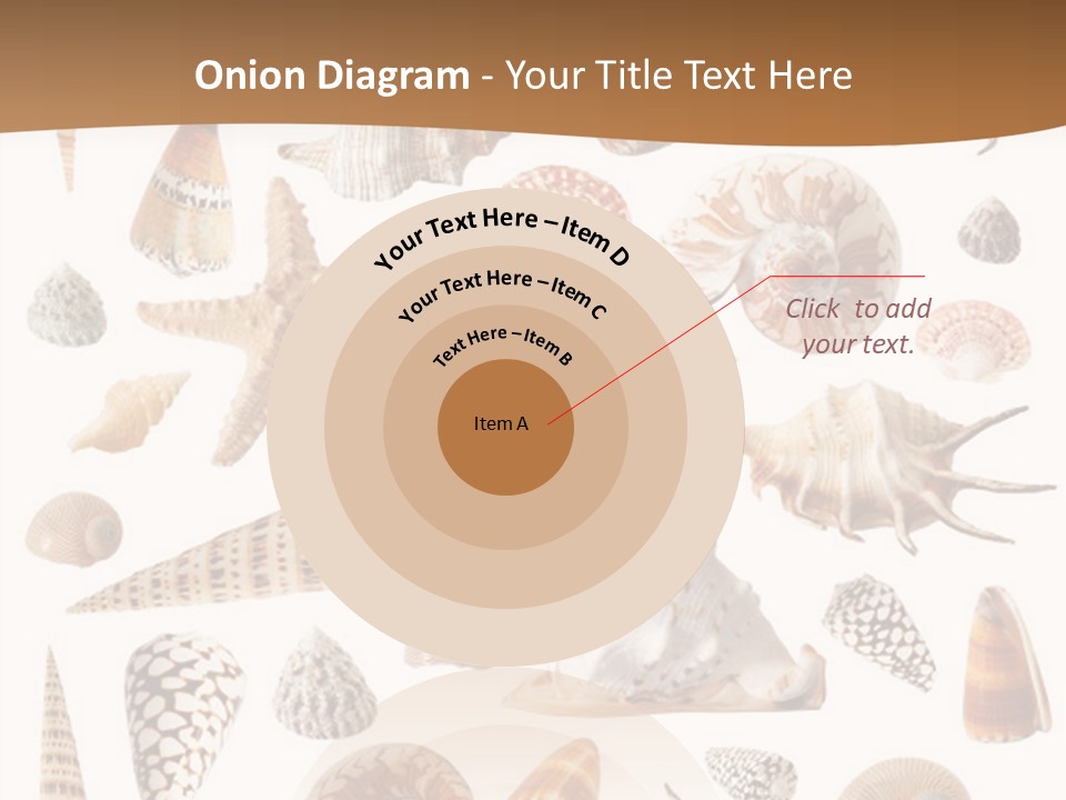 An Image Of Seashells On White Background PowerPoint Template
