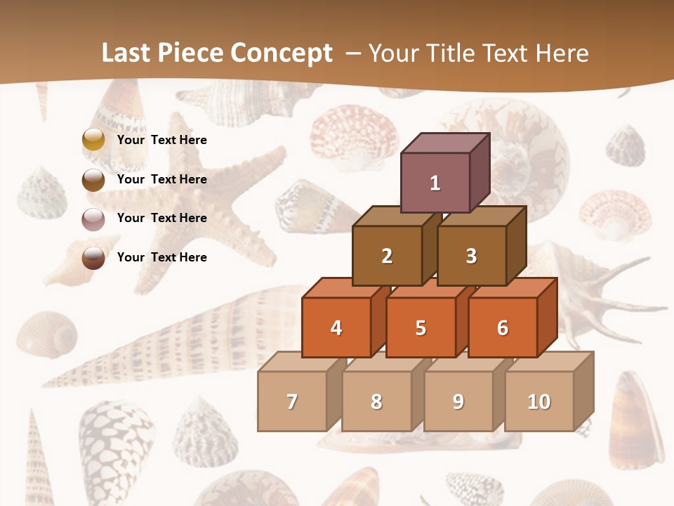 An Image Of Seashells On White Background PowerPoint Template