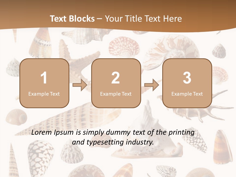 An Image Of Seashells On White Background PowerPoint Template