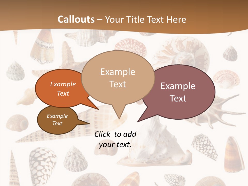 An Image Of Seashells On White Background PowerPoint Template