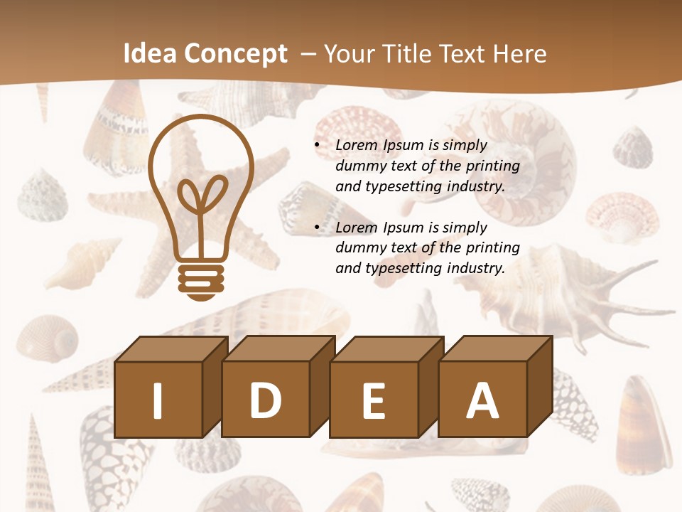 An Image Of Seashells On White Background PowerPoint Template