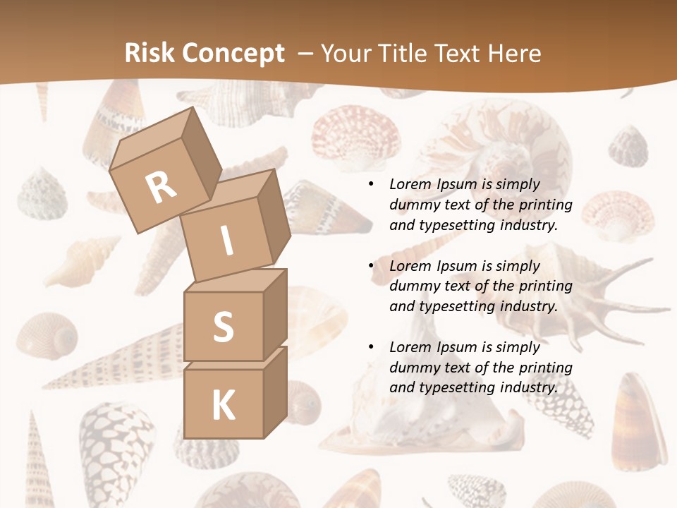 An Image Of Seashells On White Background PowerPoint Template