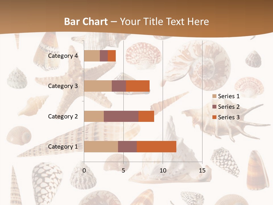 An Image Of Seashells On White Background PowerPoint Template