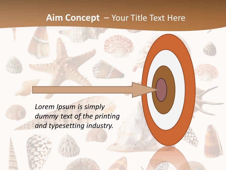 An Image Of Seashells On White Background PowerPoint Template
