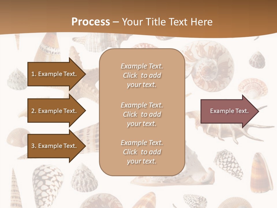 An Image Of Seashells On White Background PowerPoint Template