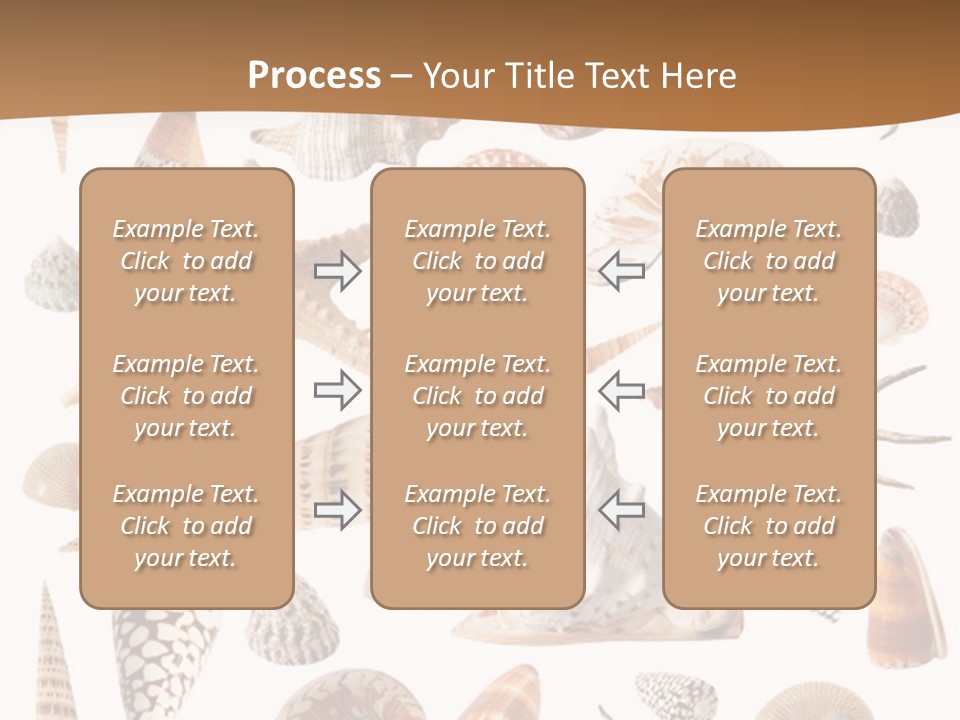 An Image Of Seashells On White Background PowerPoint Template