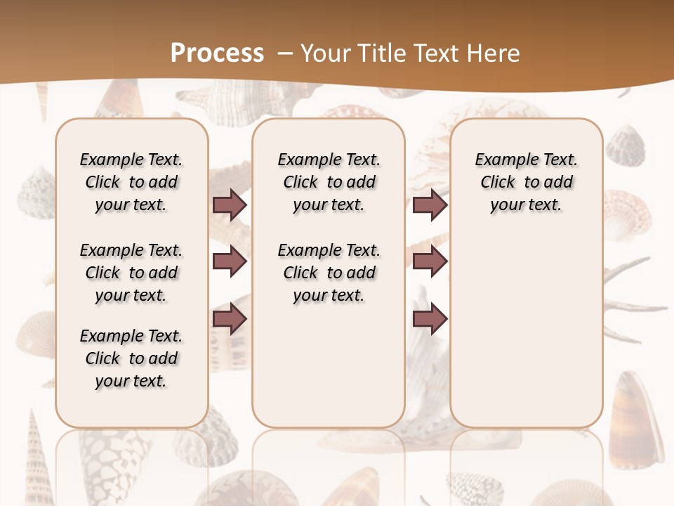 An Image Of Seashells On White Background PowerPoint Template