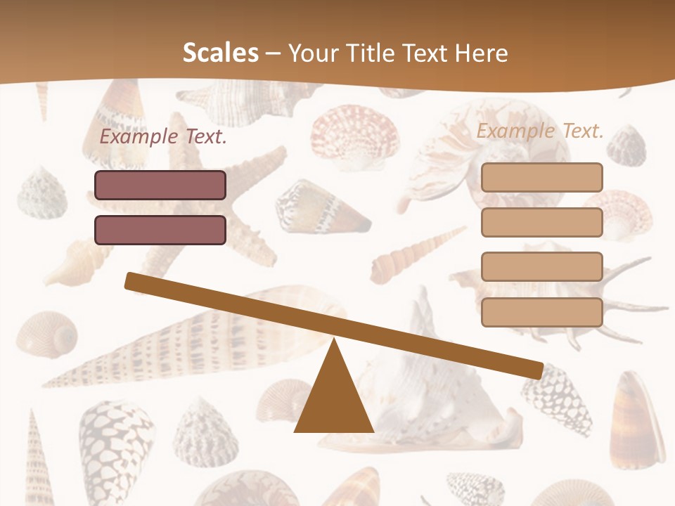 An Image Of Seashells On White Background PowerPoint Template