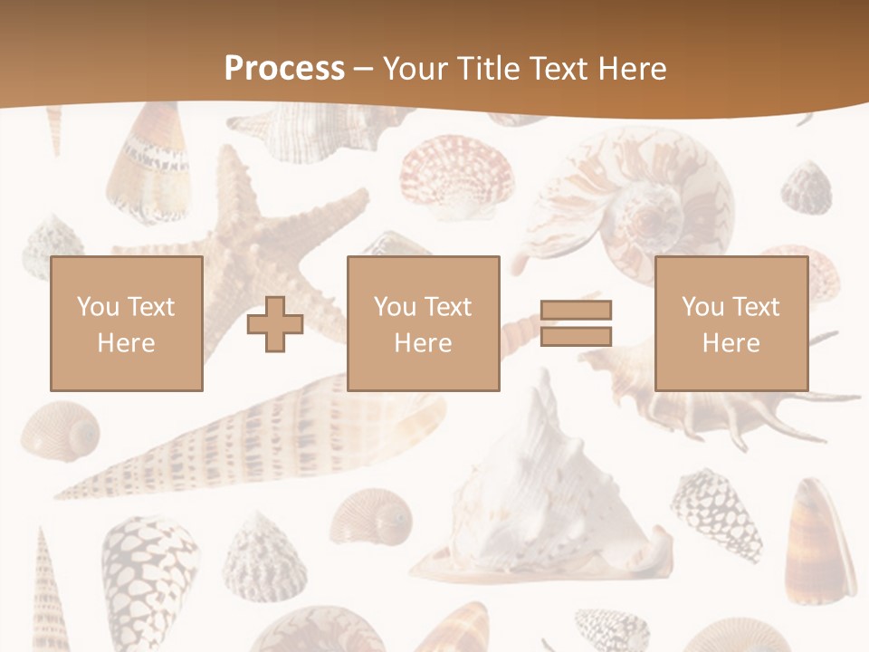 An Image Of Seashells On White Background PowerPoint Template
