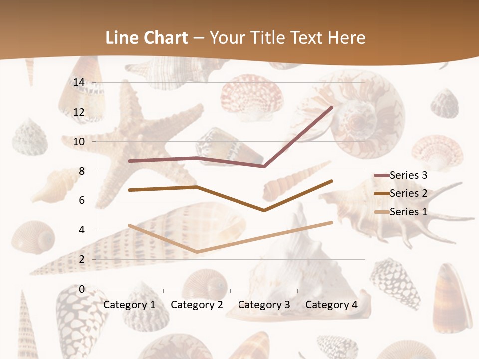 An Image Of Seashells On White Background PowerPoint Template