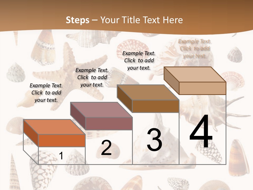 An Image Of Seashells On White Background PowerPoint Template