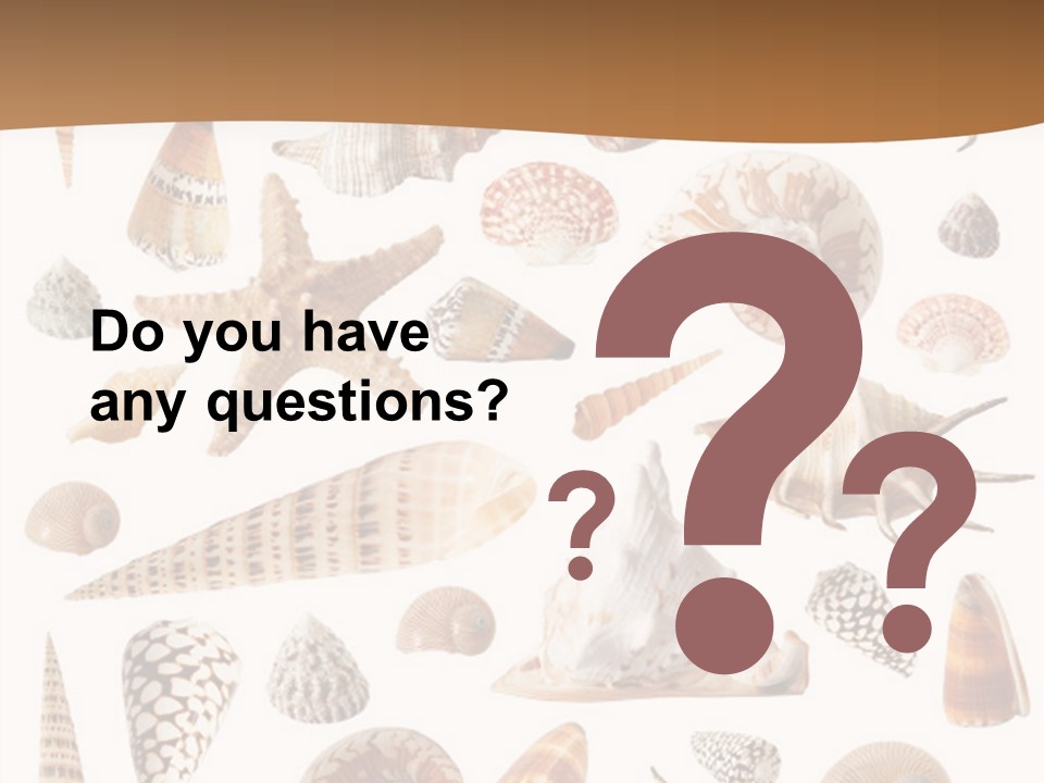 An Image Of Seashells On White Background PowerPoint Template