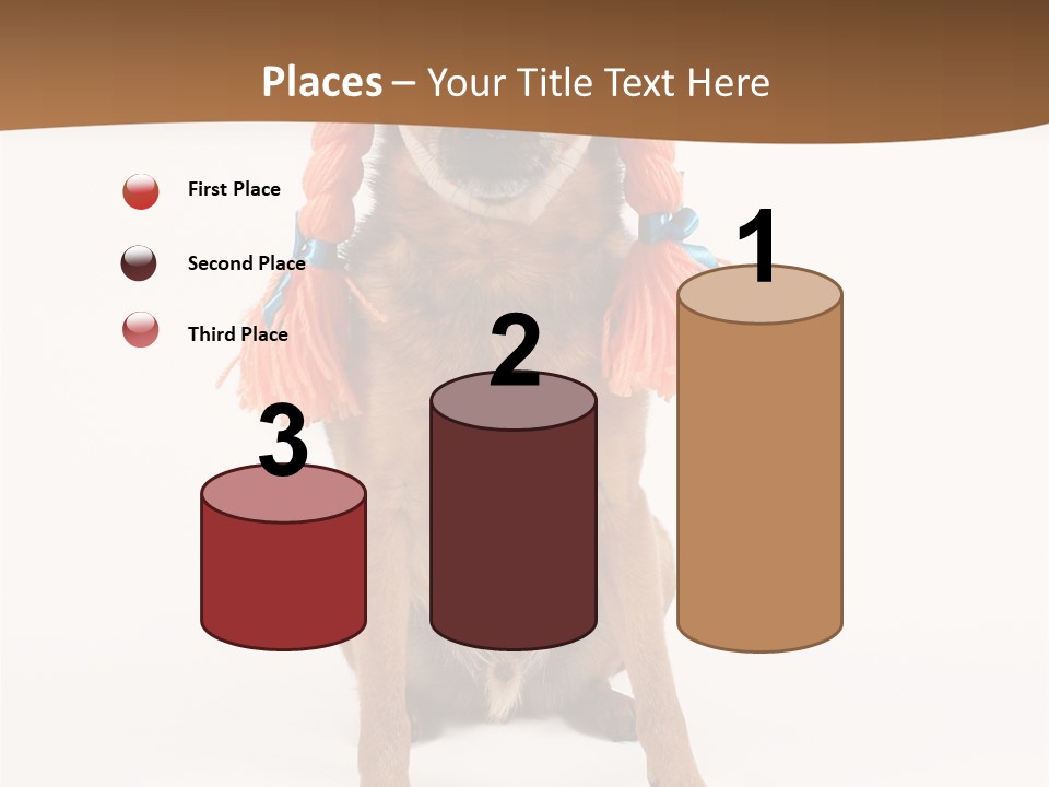 A Small Dog With A Wig On PowerPoint Template