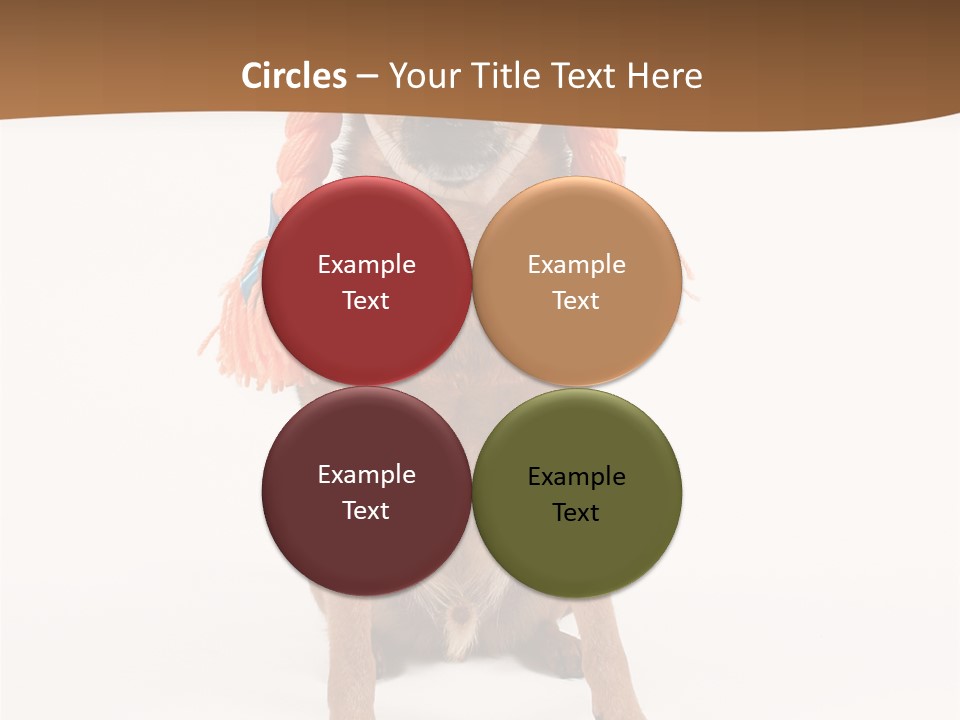 A Small Dog With A Wig On PowerPoint Template