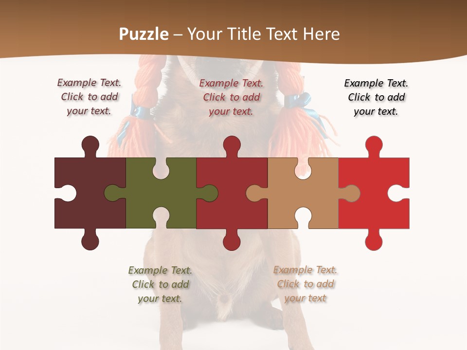 A Small Dog With A Wig On PowerPoint Template