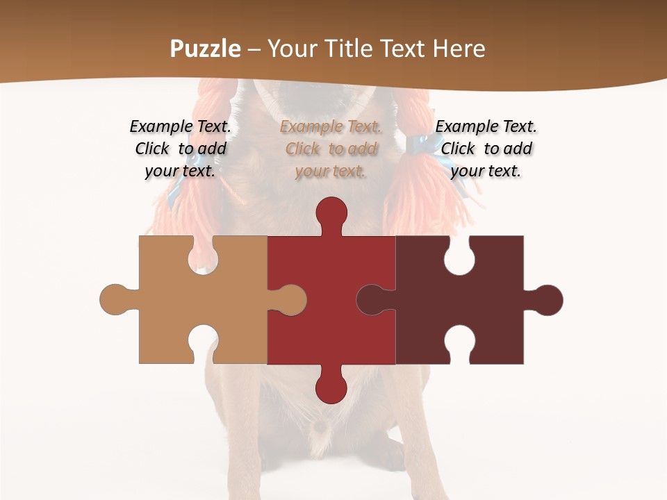 A Small Dog With A Wig On PowerPoint Template