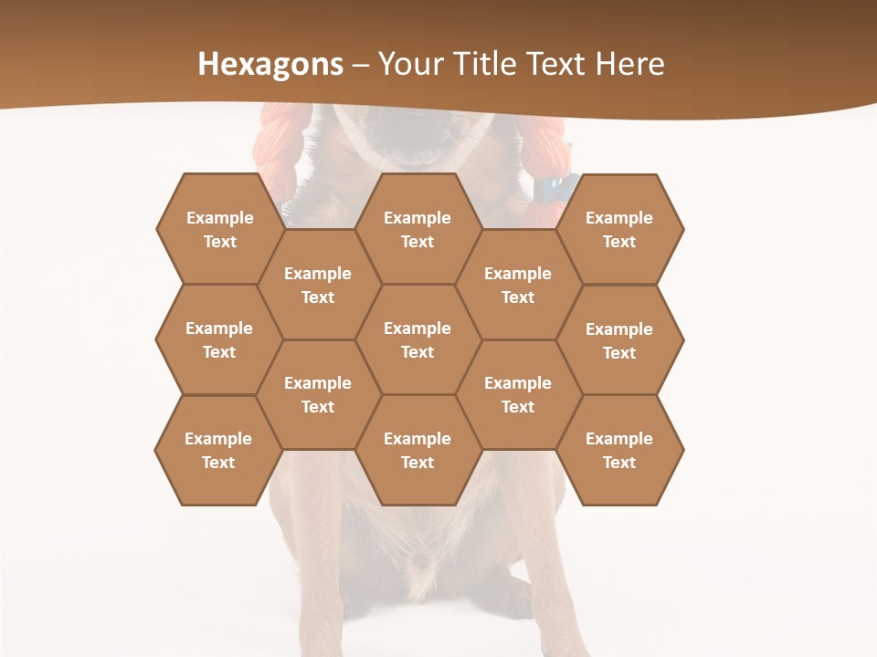 A Small Dog With A Wig On PowerPoint Template