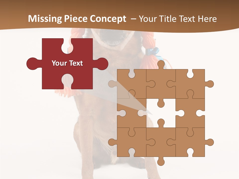 A Small Dog With A Wig On PowerPoint Template