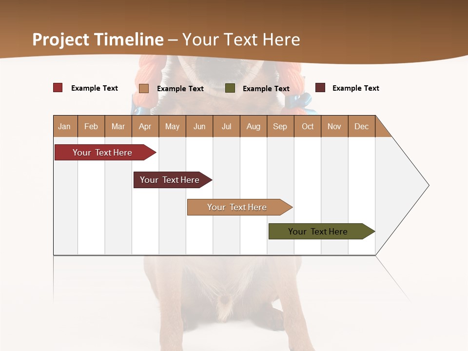 A Small Dog With A Wig On PowerPoint Template