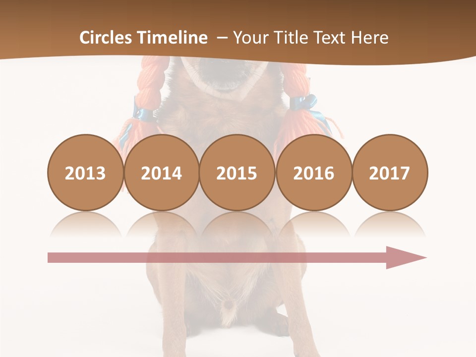 A Small Dog With A Wig On PowerPoint Template