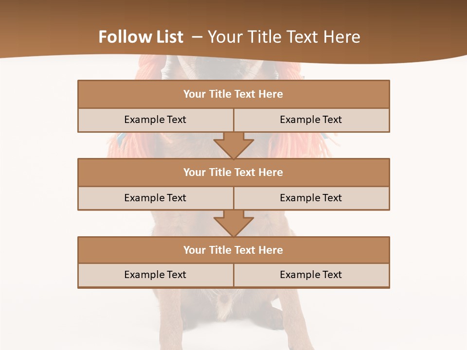 A Small Dog With A Wig On PowerPoint Template