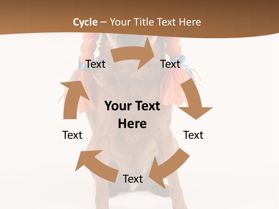 A Small Dog With A Wig On PowerPoint Template