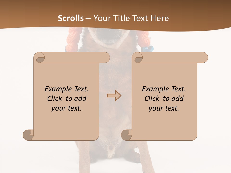 A Small Dog With A Wig On PowerPoint Template