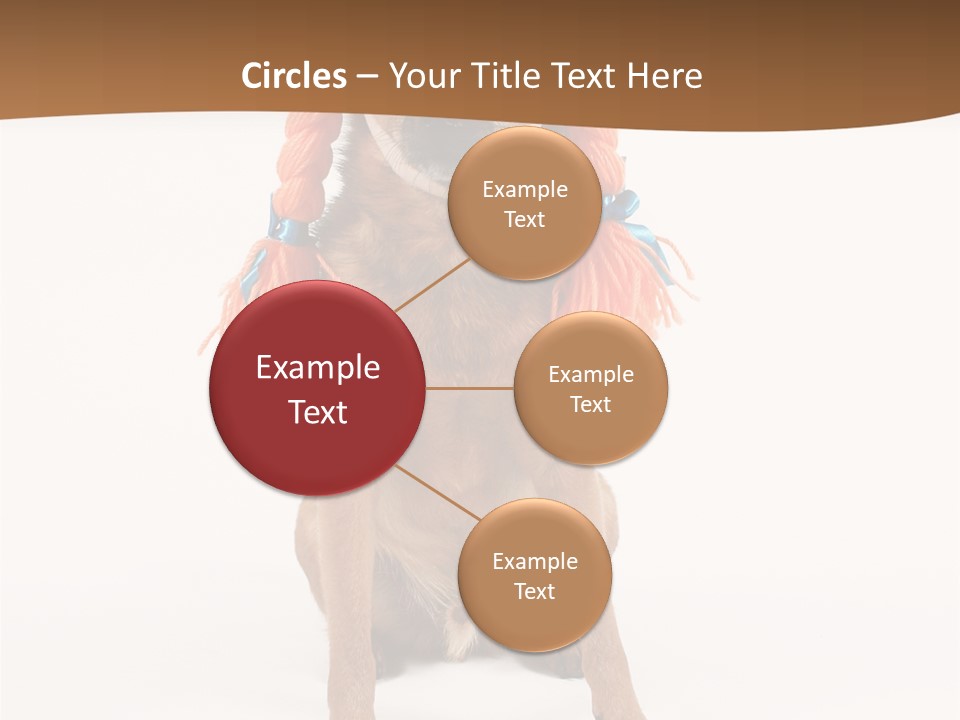 A Small Dog With A Wig On PowerPoint Template