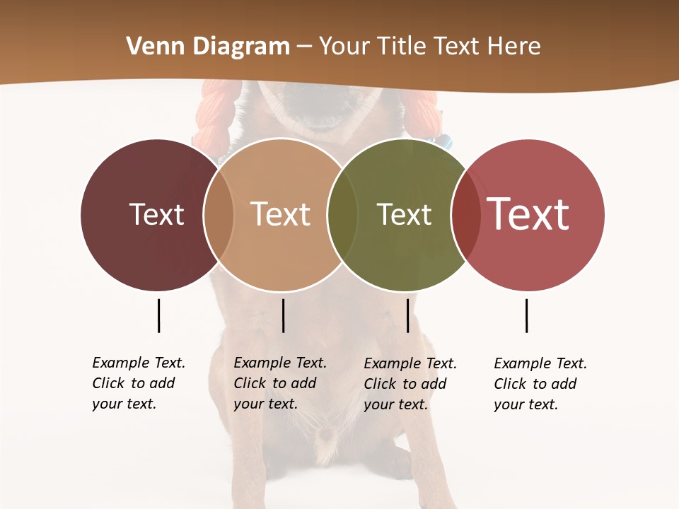 A Small Dog With A Wig On PowerPoint Template