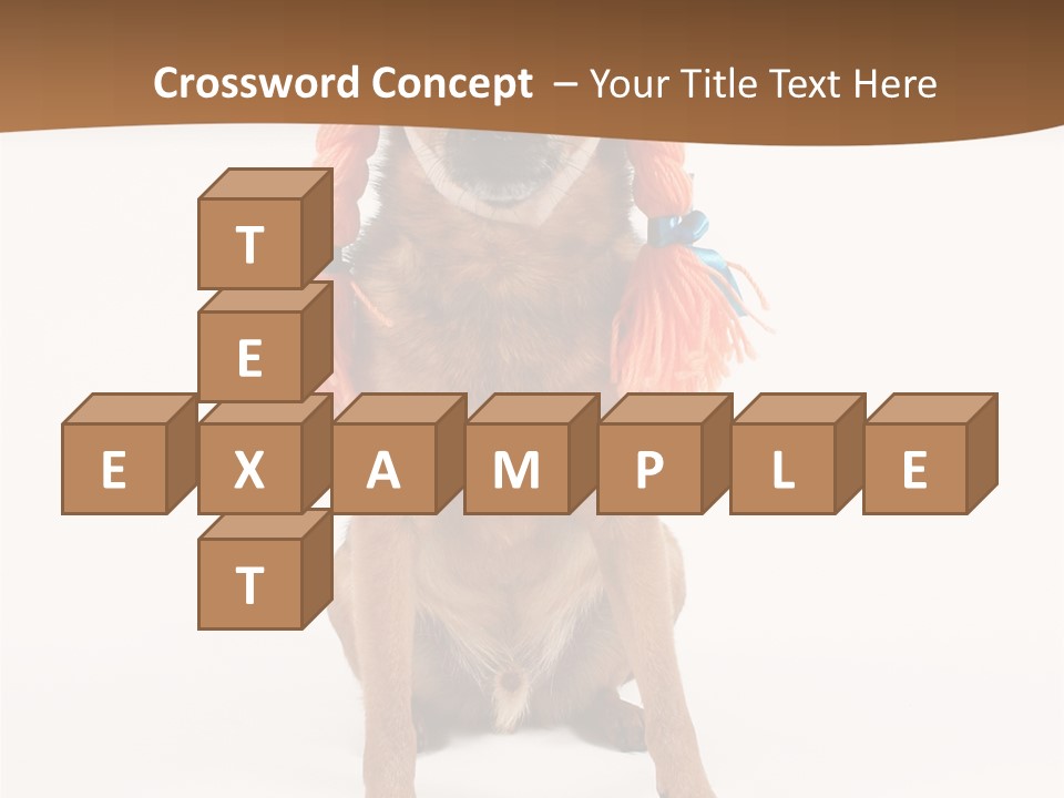 A Small Dog With A Wig On PowerPoint Template