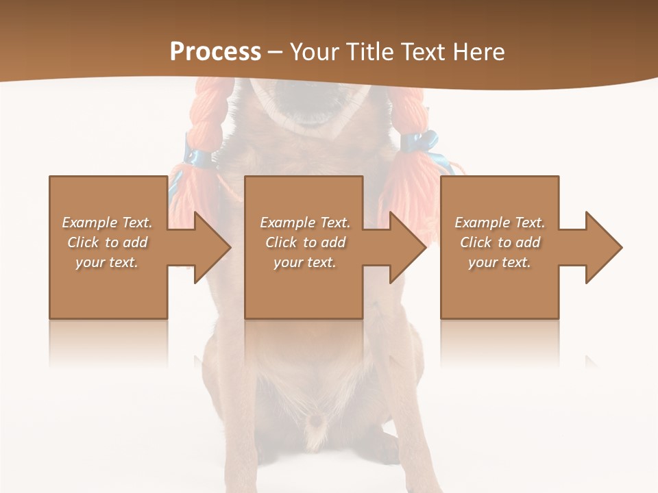 A Small Dog With A Wig On PowerPoint Template