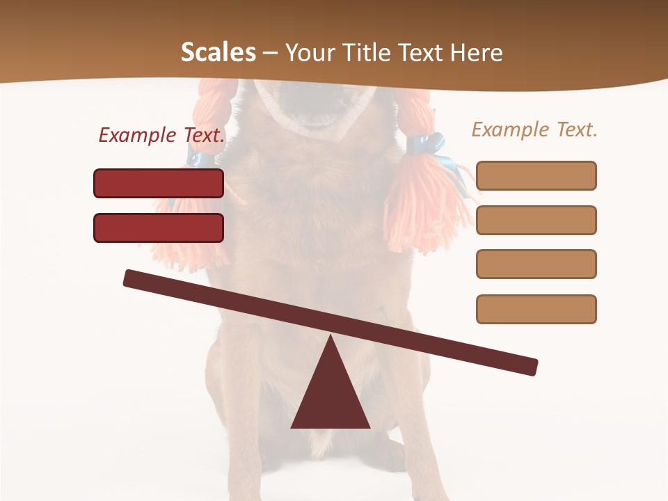 A Small Dog With A Wig On PowerPoint Template