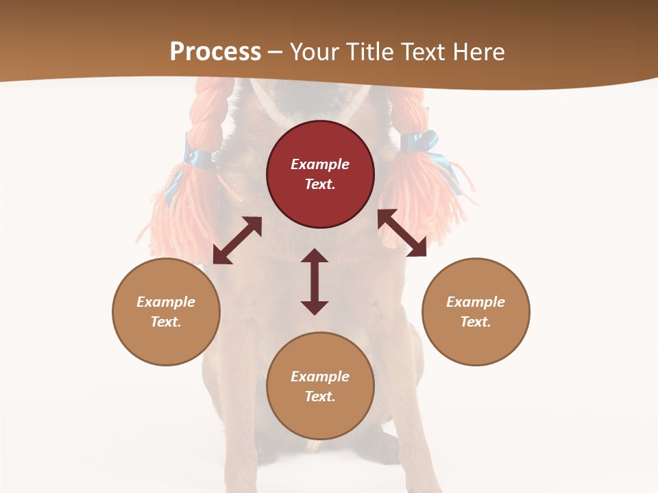 A Small Dog With A Wig On PowerPoint Template