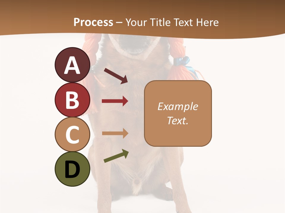 A Small Dog With A Wig On PowerPoint Template