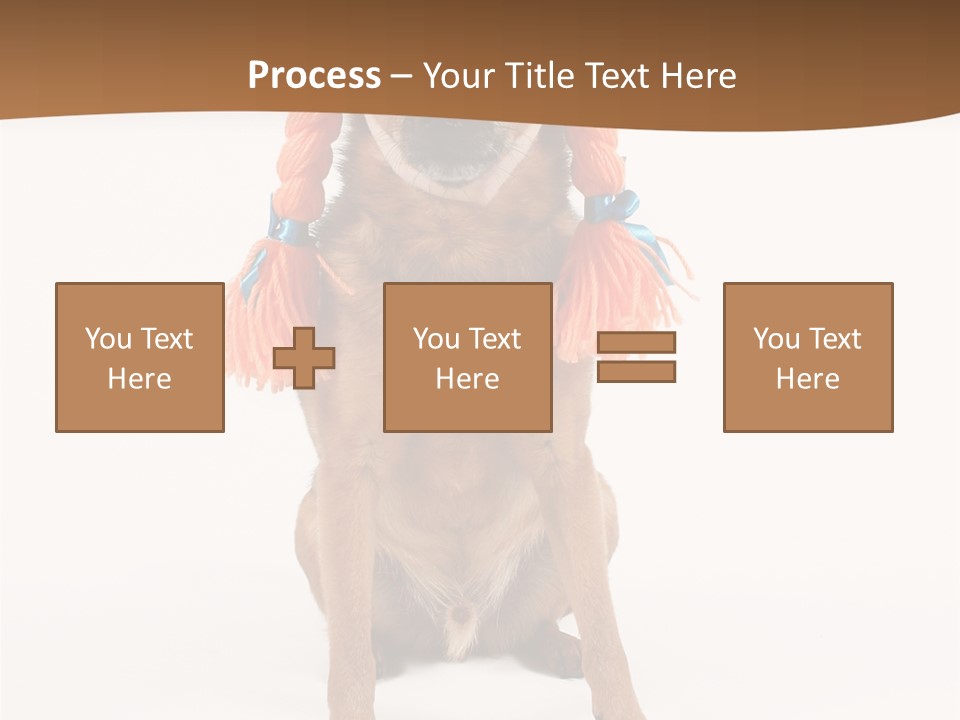 A Small Dog With A Wig On PowerPoint Template