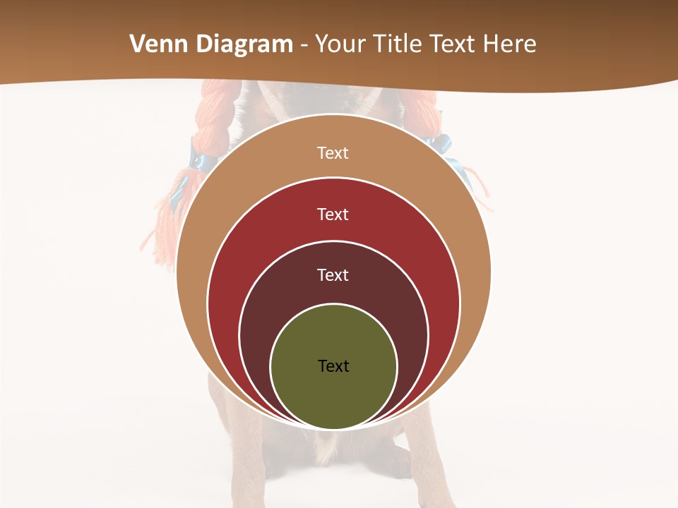 A Small Dog With A Wig On PowerPoint Template