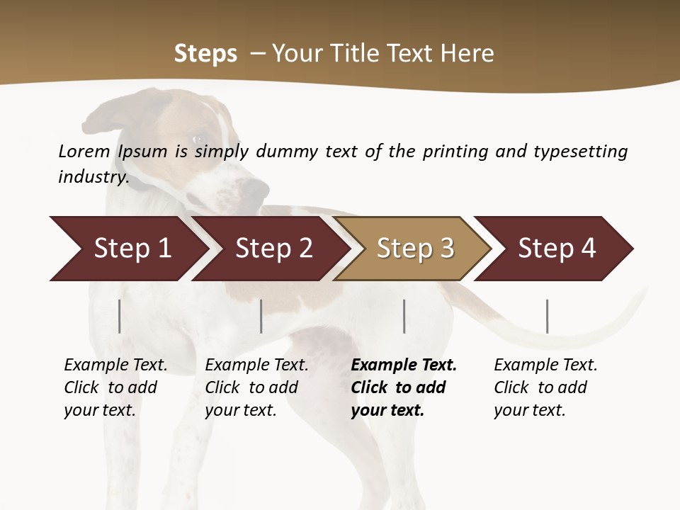 English Pointer (5 Months) In Front Of A White Background PowerPoint Template