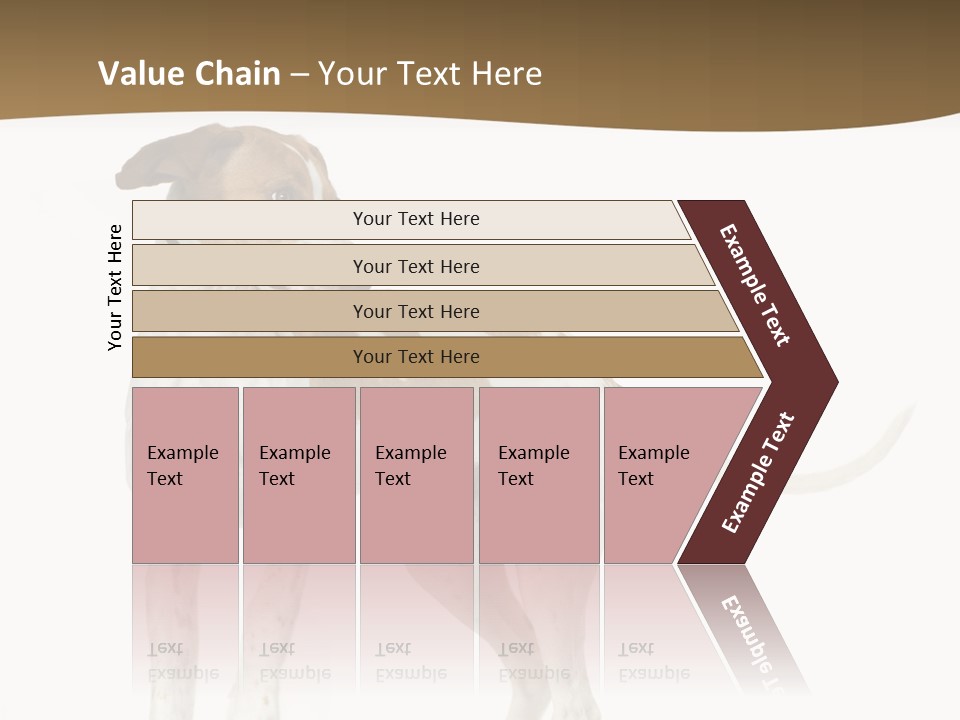 English Pointer (5 Months) In Front Of A White Background PowerPoint Template