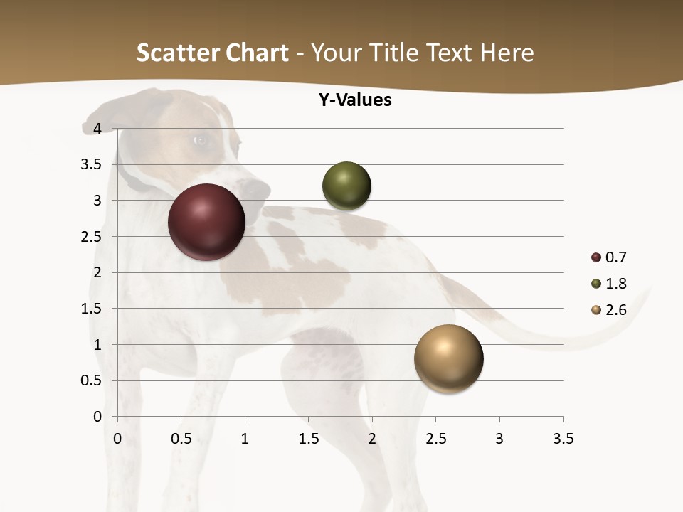 English Pointer (5 Months) In Front Of A White Background PowerPoint Template