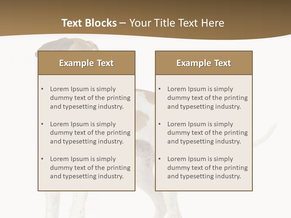 English Pointer (5 Months) In Front Of A White Background PowerPoint Template