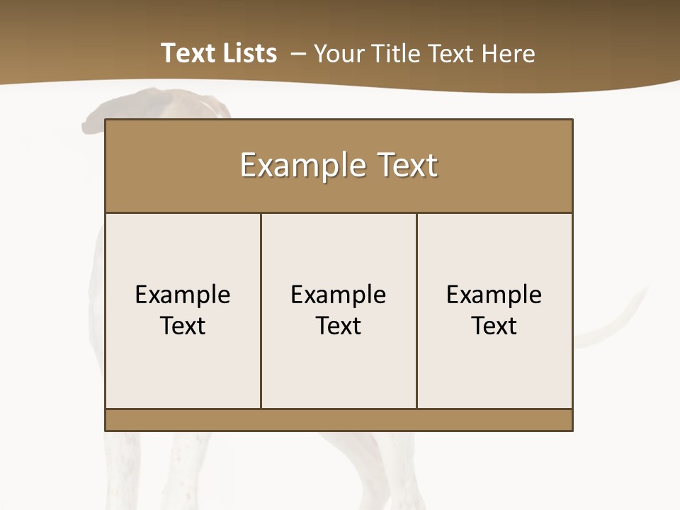 English Pointer (5 Months) In Front Of A White Background PowerPoint Template