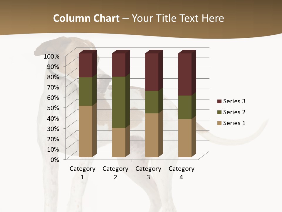 English Pointer (5 Months) In Front Of A White Background PowerPoint Template