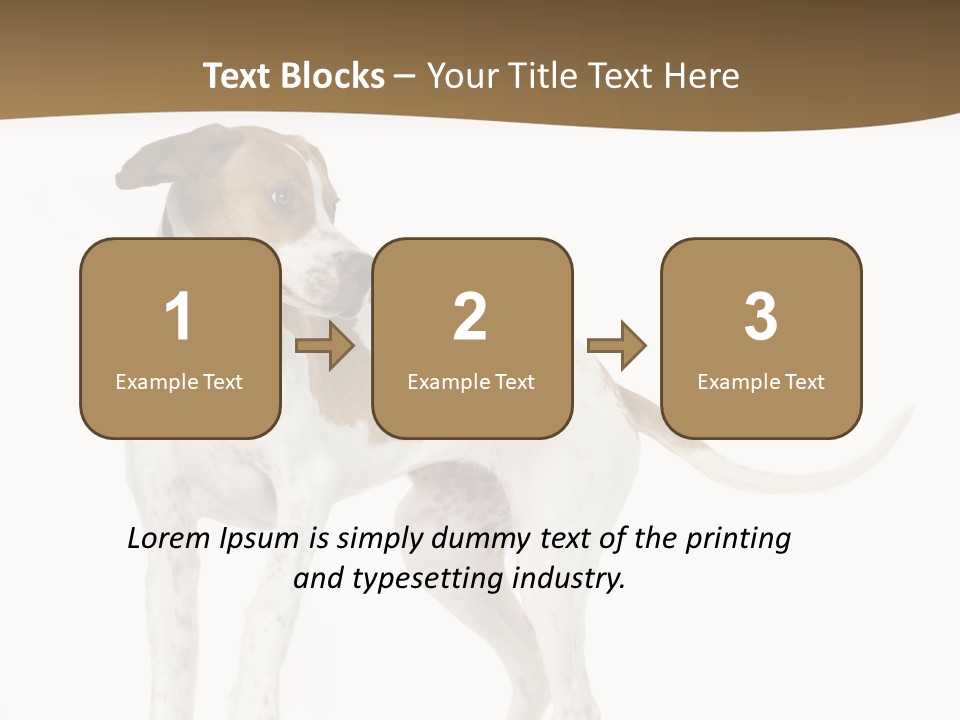 English Pointer (5 Months) In Front Of A White Background PowerPoint Template